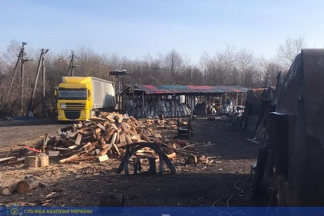 На Житомирщине раскрыли миллионную схему вывоза леса