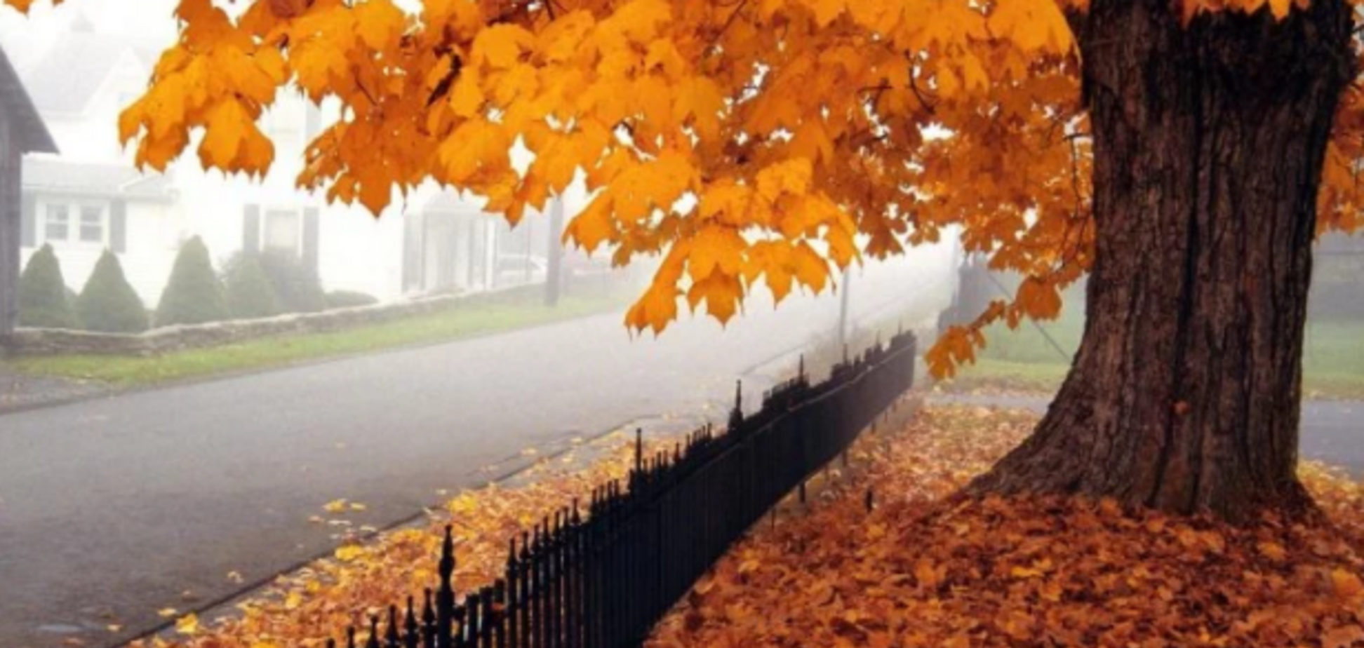 Сухо й прохолодно: синоптики повідомили про різку зміну погоди в Україні