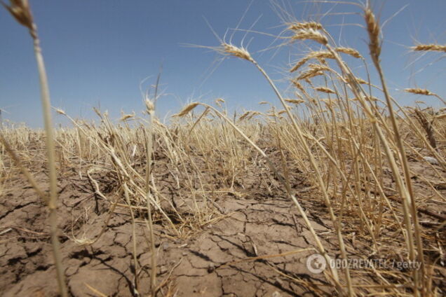 Засуха в Криму