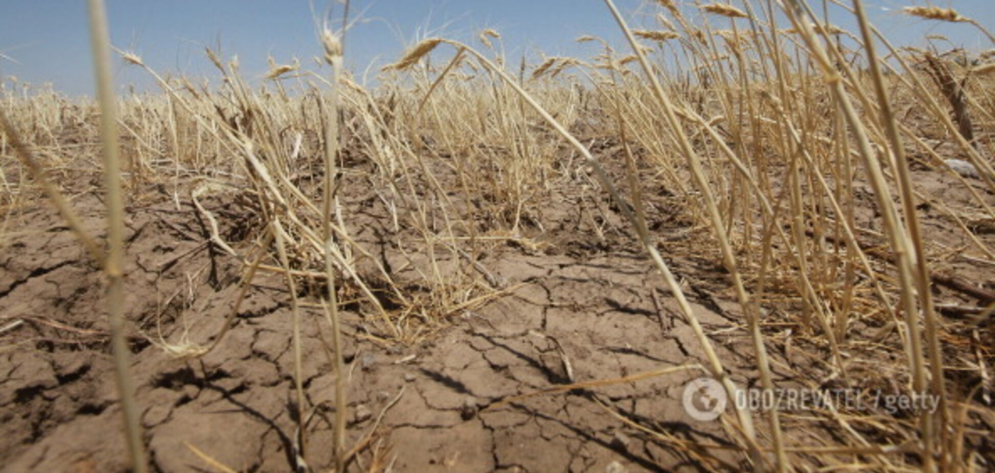 Тисячі людей в небезпеці: стало відомо, чим загрожує посуха в Криму