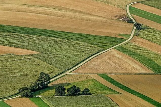 Земельний уряд: законодавча ініціатива з національно-орієнтованого законодавства з земельних відносин