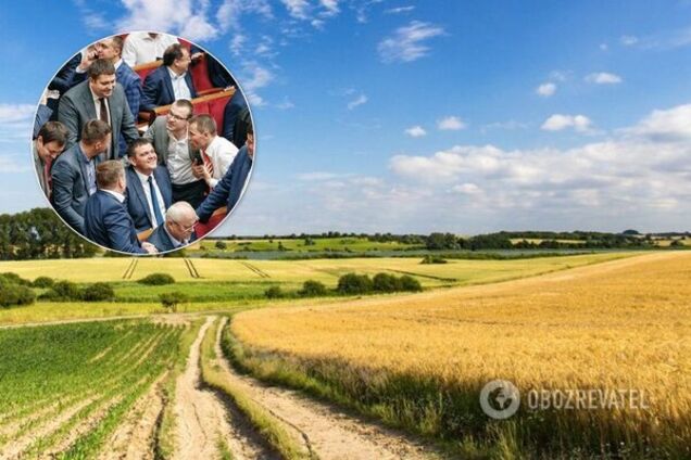 Названо ціну за гектар у разі відкриття ринку