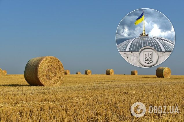 Открытие рынка земли: в "Слуге народа" объяснили пользу для украинцев
