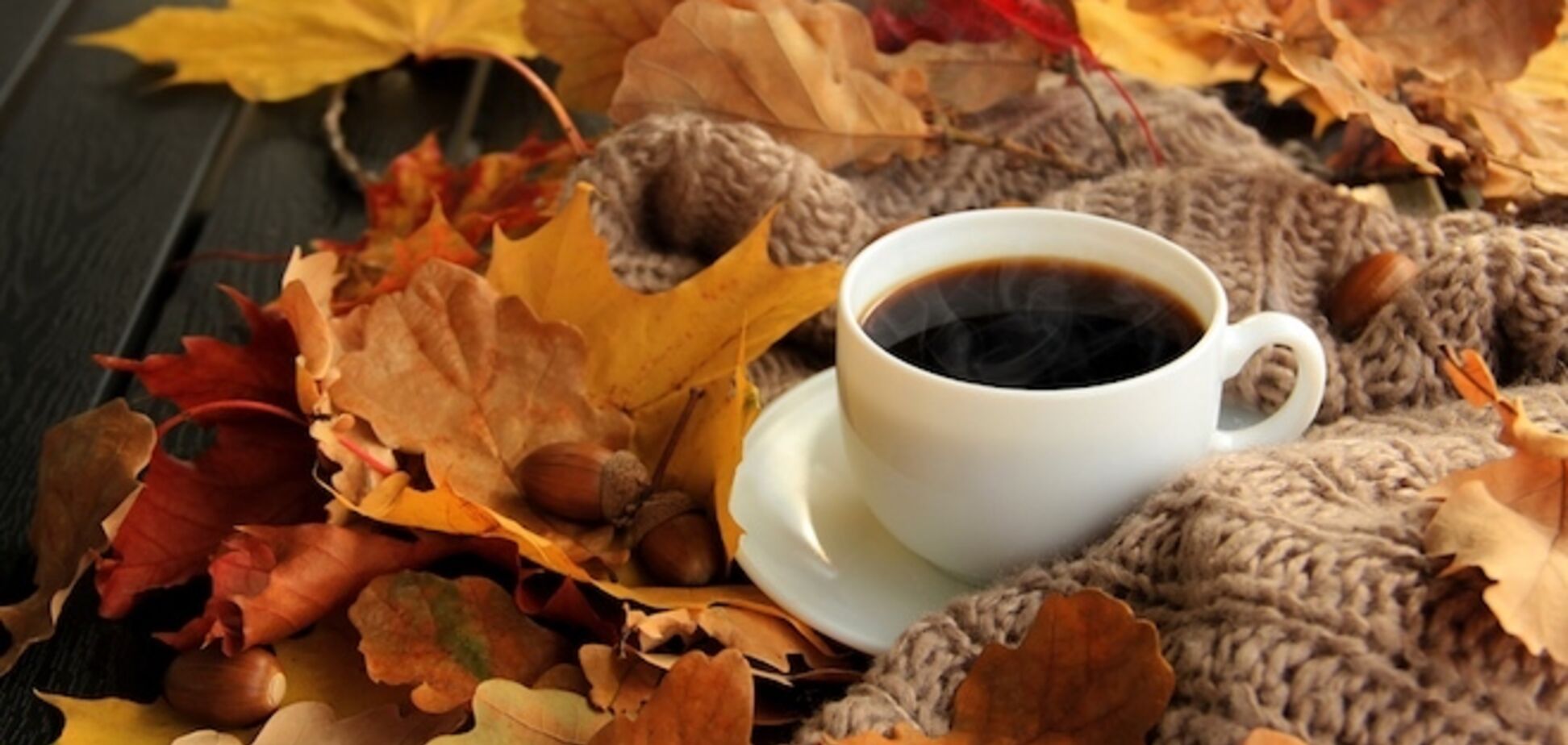 До +18: синоптики пообещали осеннее потепление в Украине