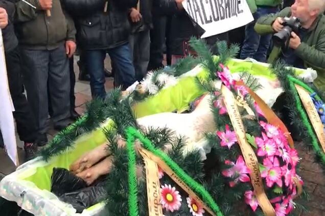 Принесли свинью в гробу: националисты заблокировали Раду. Фото и видео