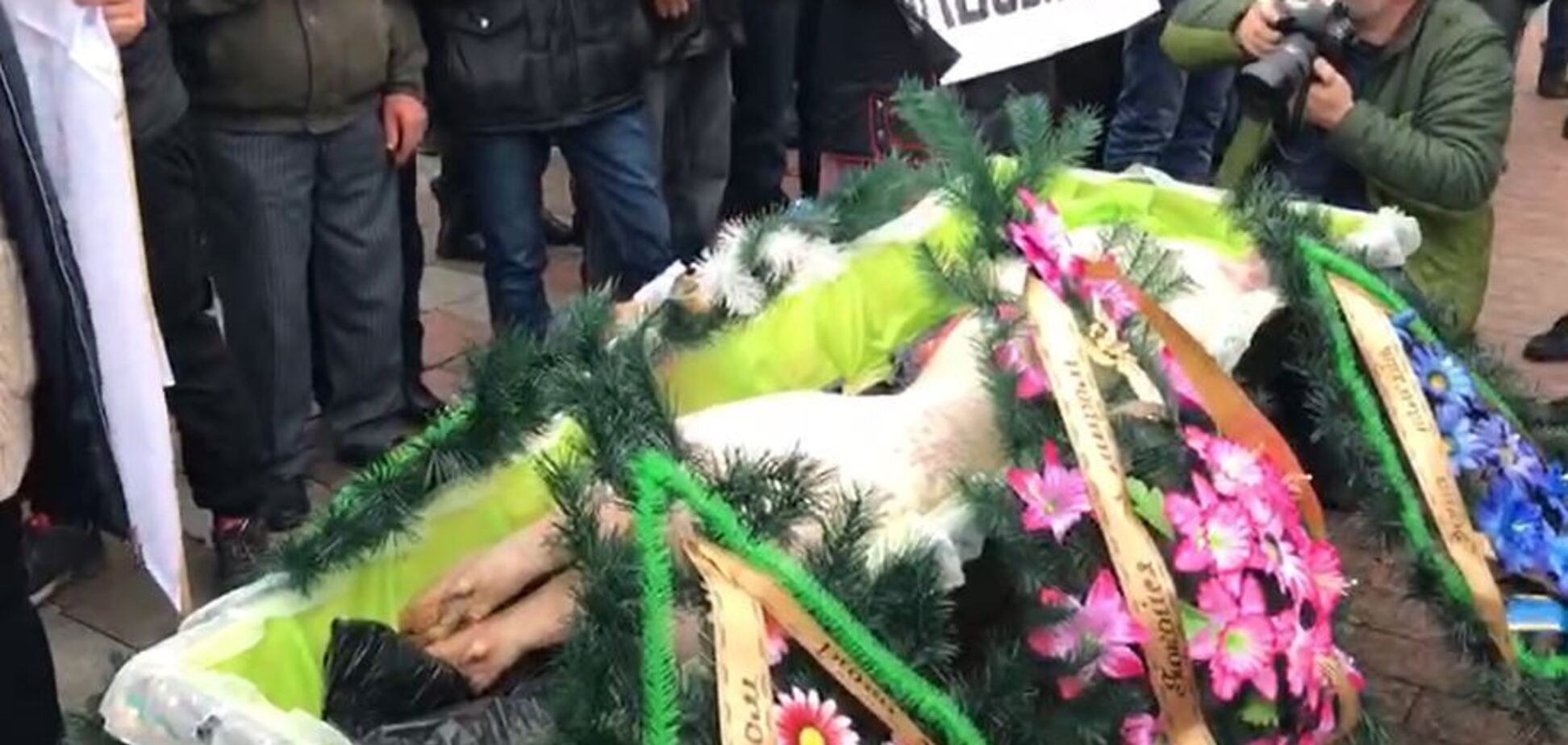 Принесли свинью в гробу: националисты заблокировали Раду. Фото и видео
