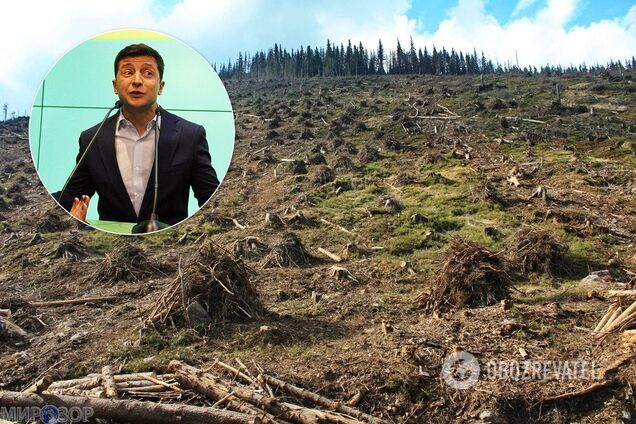 На старые схемы своих людей: команду Зеленского уличили в подлости с вырубкой лесов