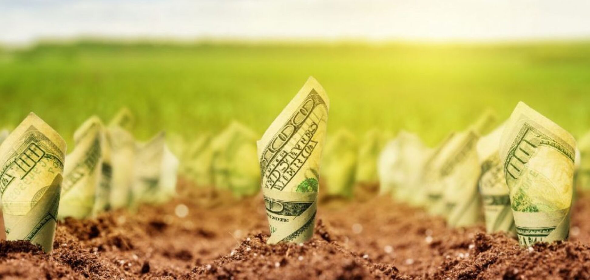 Земля и воля: главный вопрос – кто выиграет?