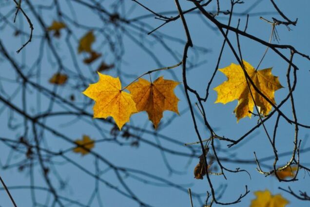 Буря вщухне: синоптикиня дала прогноз на п'ятницю в Україні