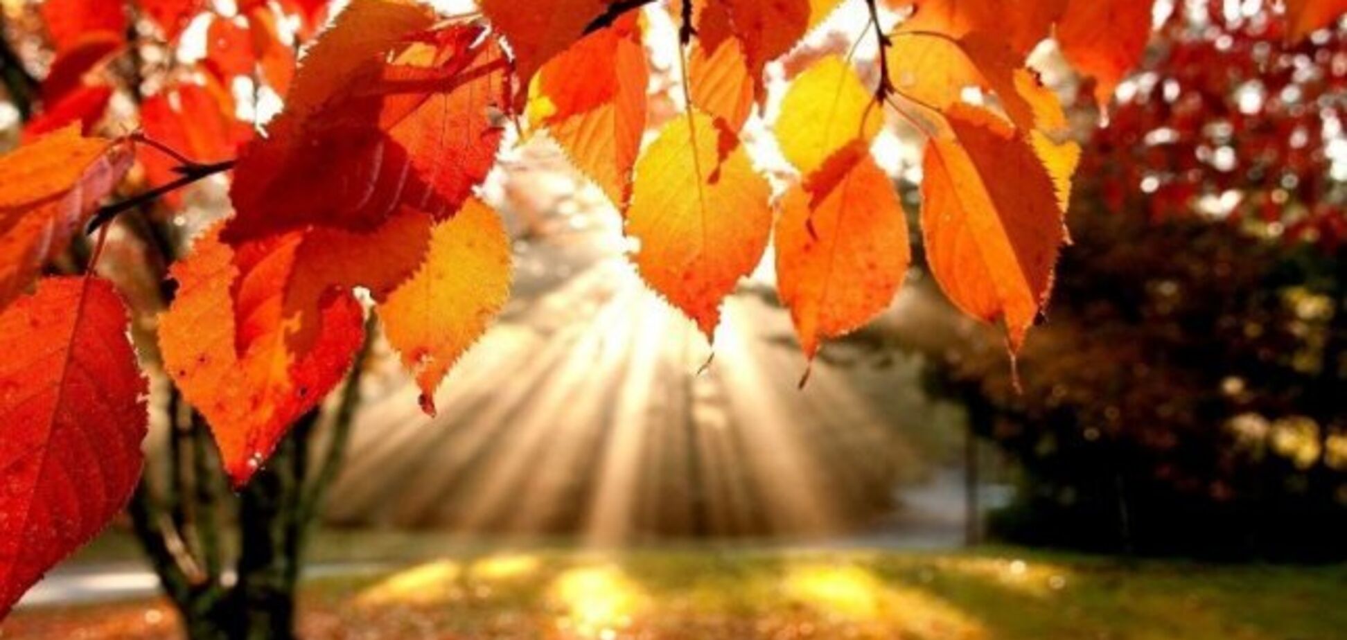 Тепло и солнечно: синоптики уточнили прогноз погоды в Днепре