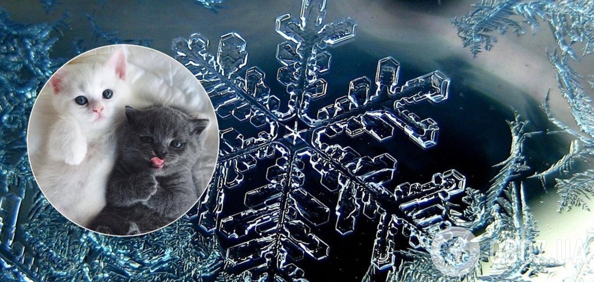 В Україну йдуть морози: Гідрометцентр назвав дату