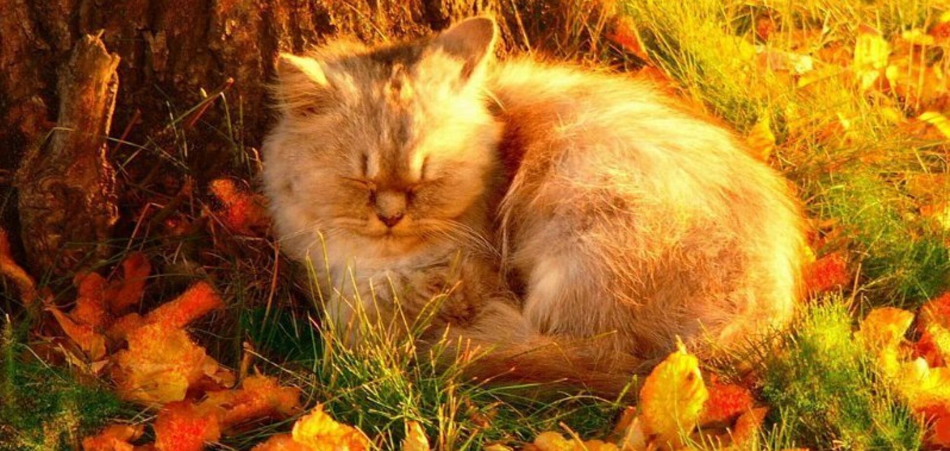 Весняне тепло: з'явився прогноз погоди в Дніпрі на вихідні