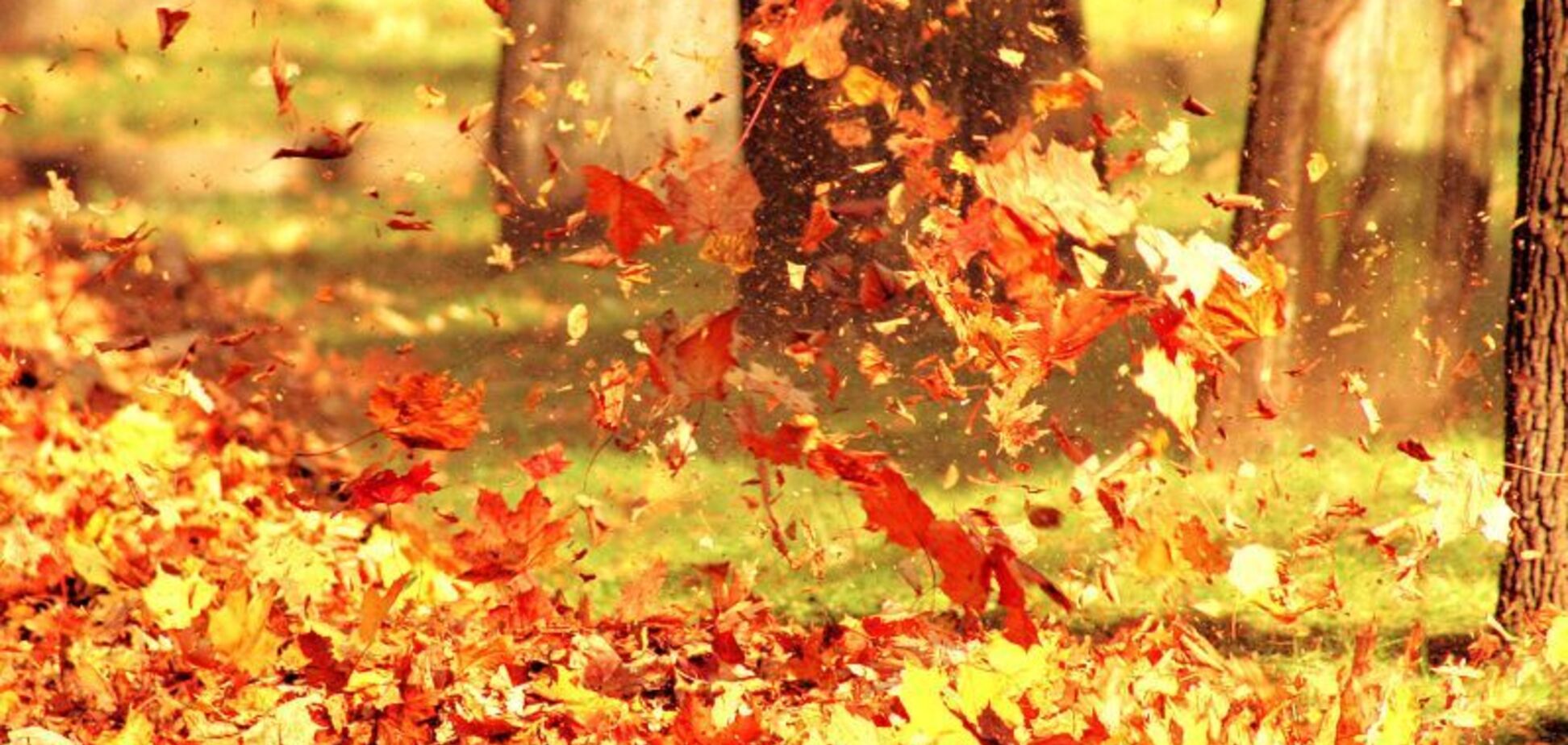 Синоптики дали теплий прогноз на 16 серпня