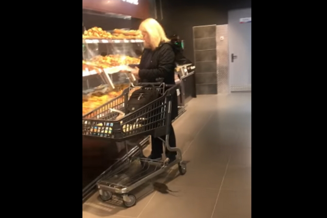 Щур в супермаркеті