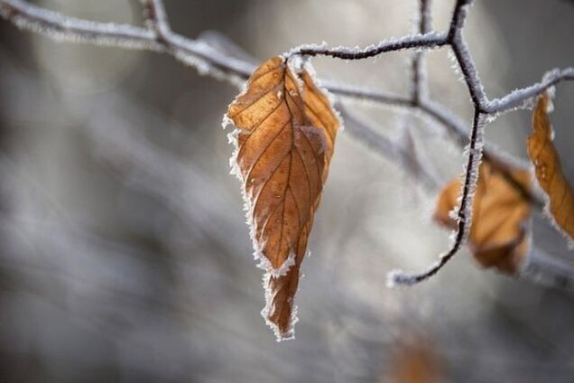 Идет похолодание: в Украине объявили желтый уровень опасности
