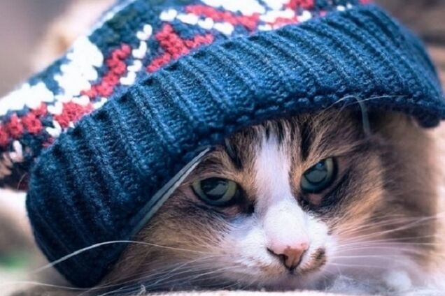 Похолодание