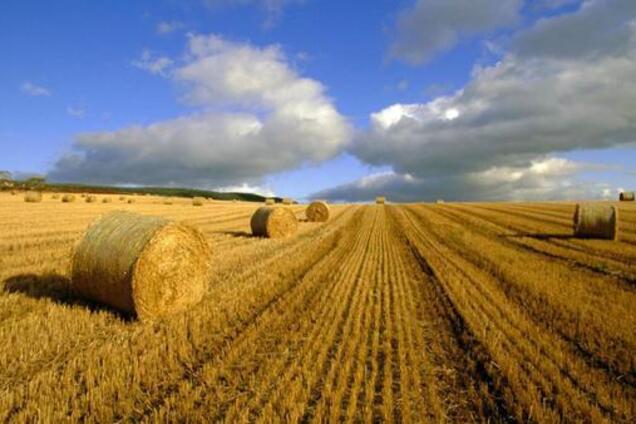 Мораторій на продаж землі: стара система вигідна корупціонерам