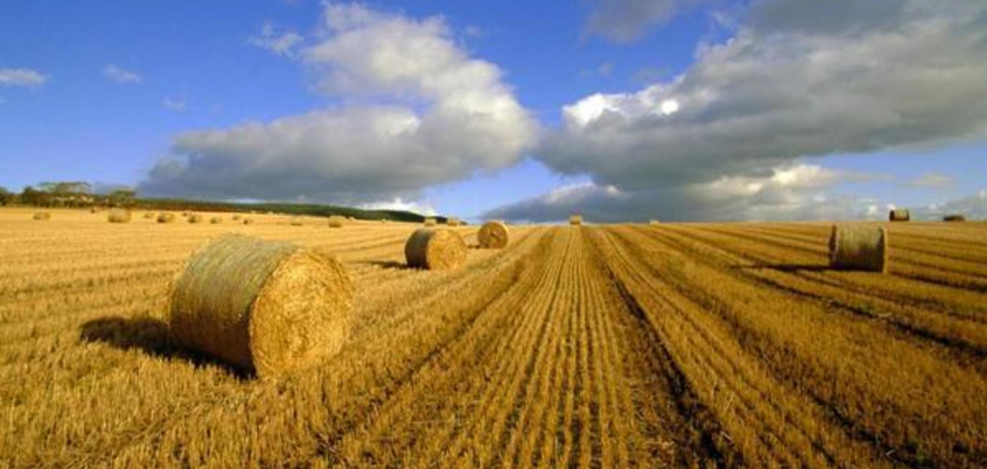 Мораторій на продаж землі: стара система вигідна корупціонерам