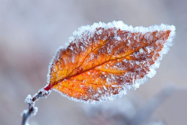 До 2° мороз: в Днепр идет резкое похолодание