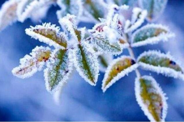 Дыхание зимы: синоптики назвали дату похолодания в Украине