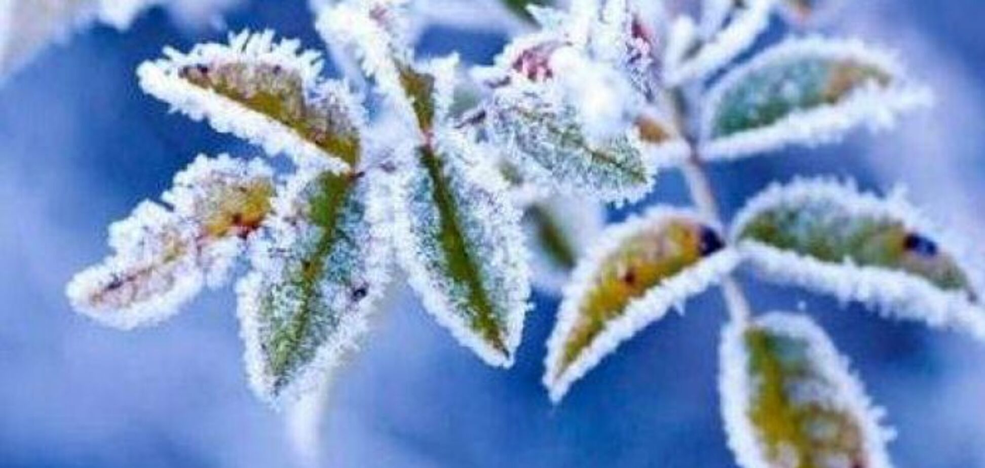 Дихання зими: синоптики назвали дату похолодання в Україні