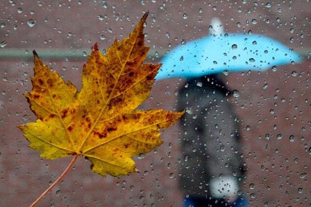В воскресенье, 3 ноября, будет ветрено и с дождем, но не холодно
