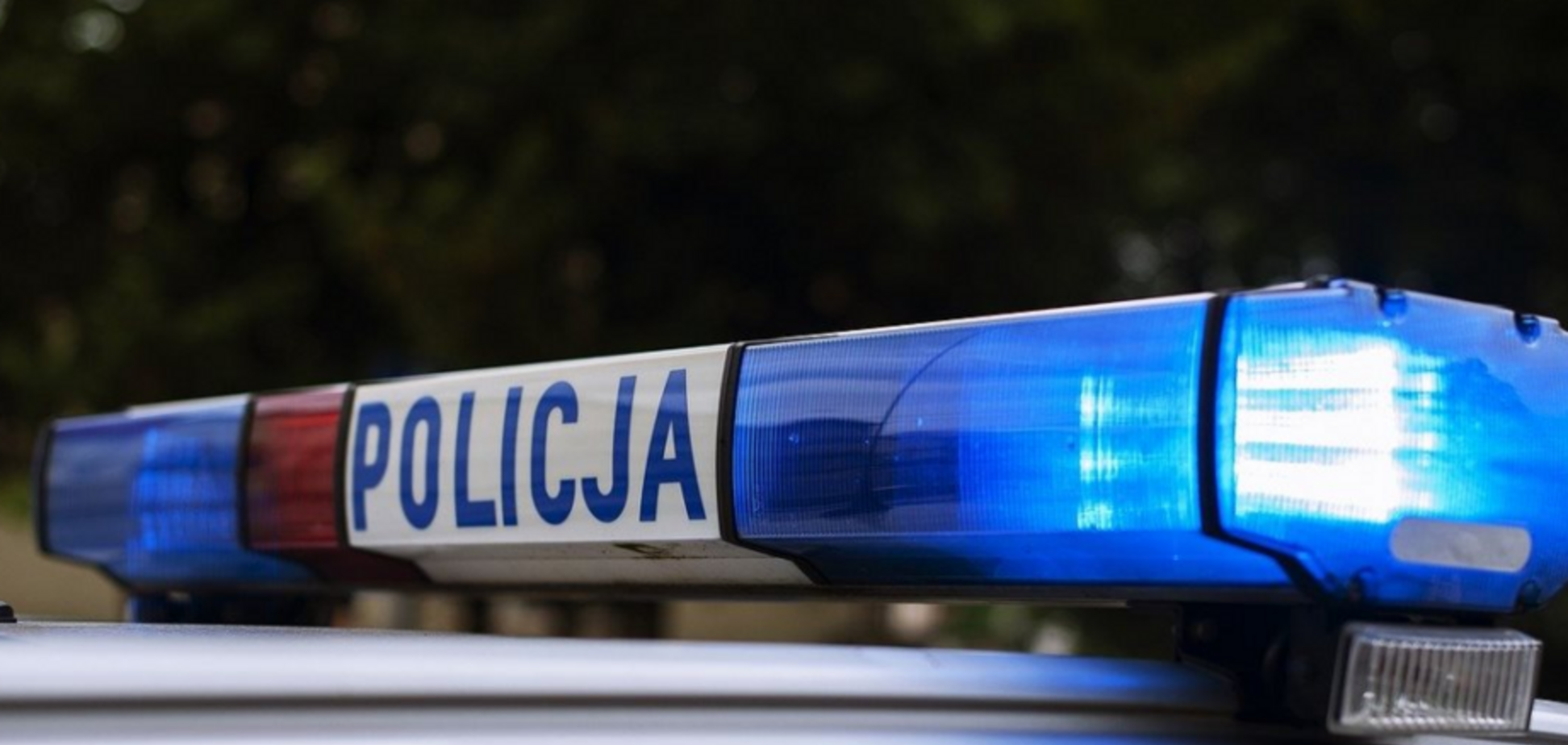 Полиция Польши