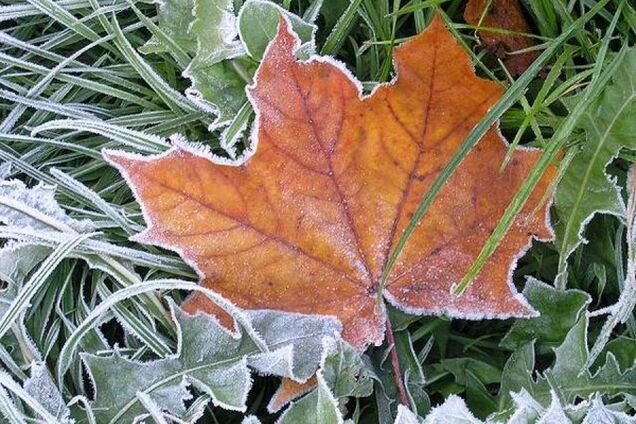 Погода в Одессе