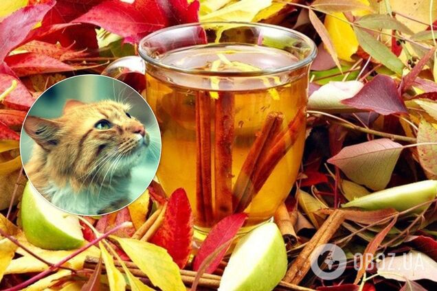 До України йде потепління: Гідрометцентр уточнив прогноз погоди до кінця листопада