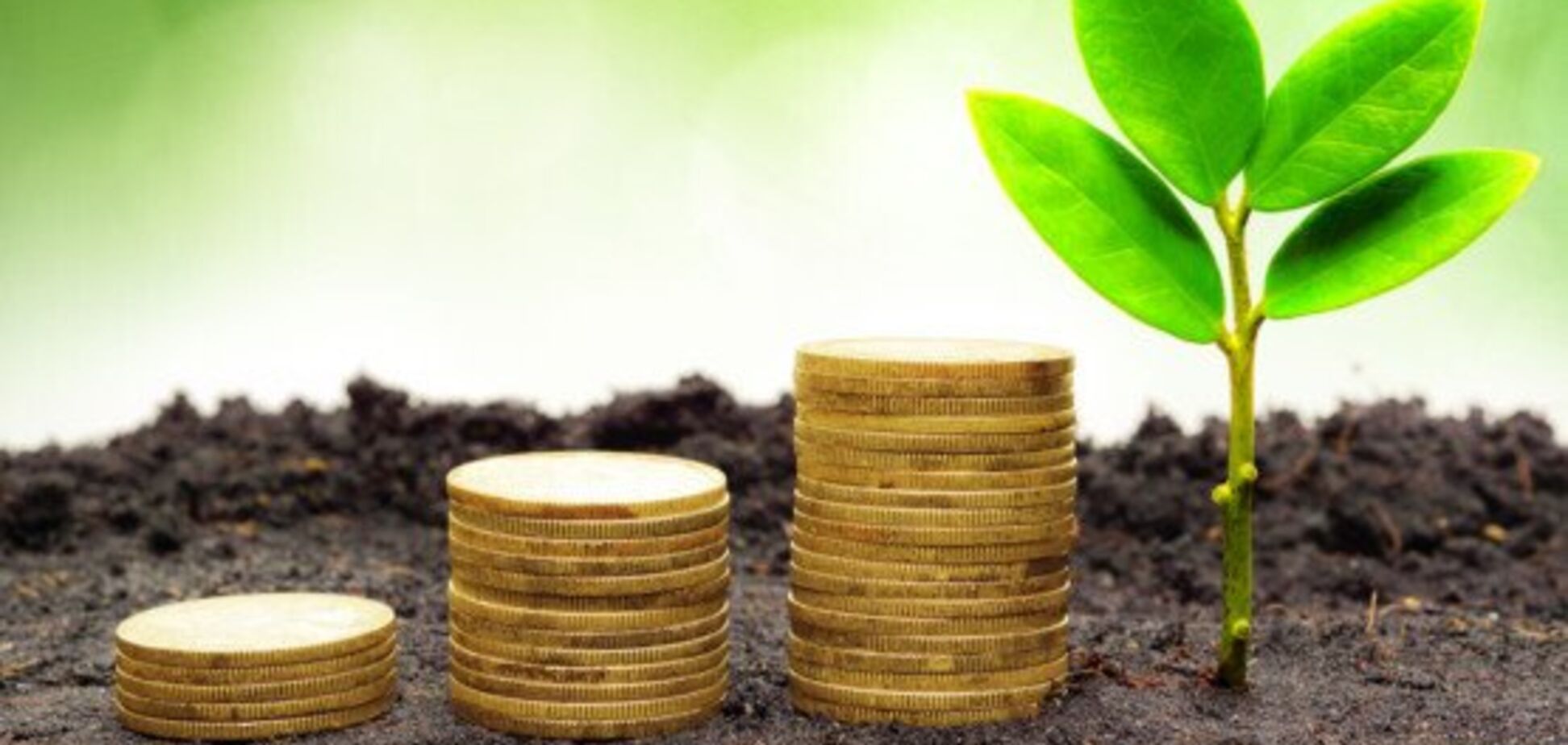 В Україну можуть залучити мільярдні інвестиції: як це стане можливим