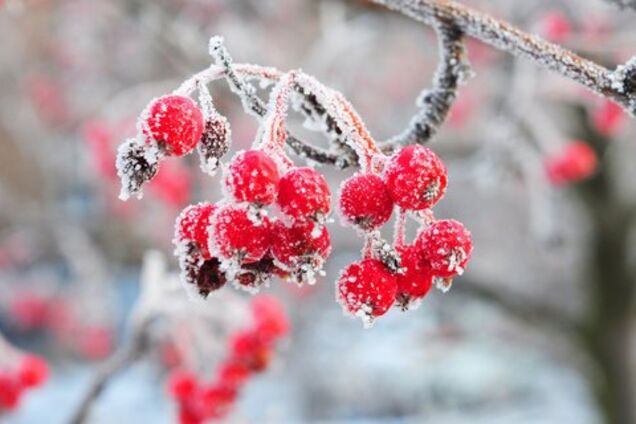 Погода в Україні