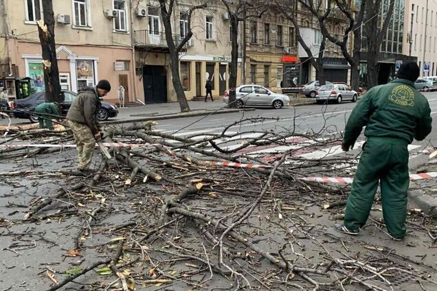 Шторм в Одессе повалил деревья