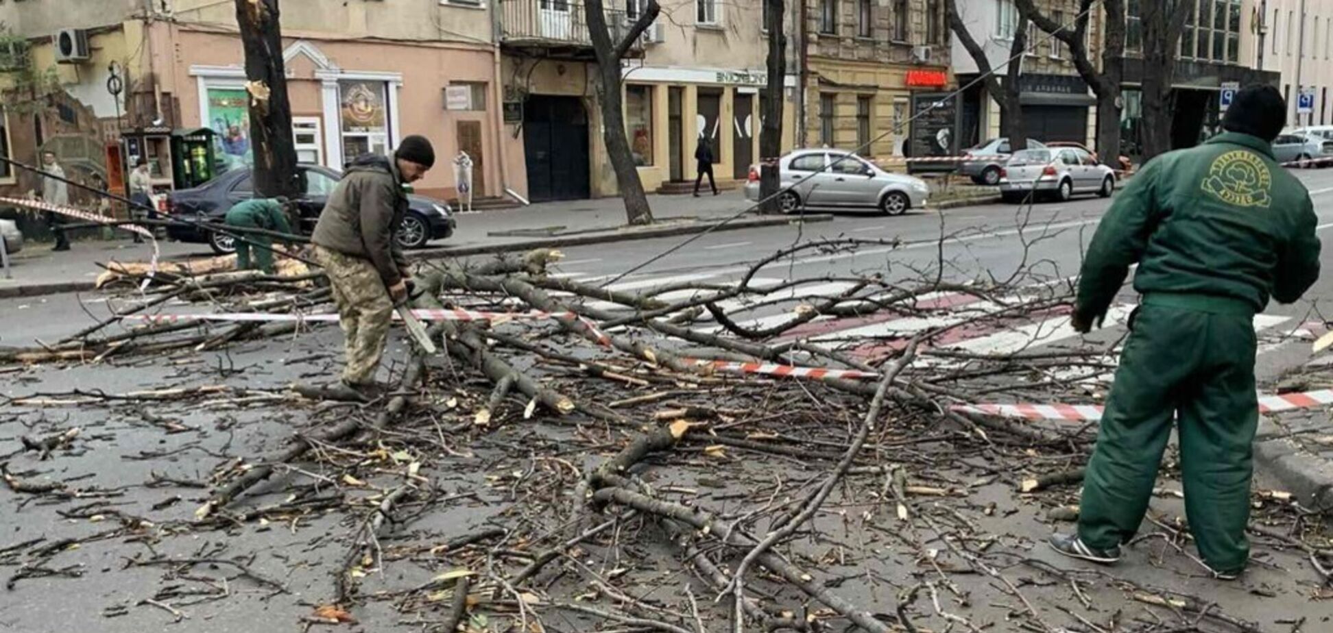 Шторм в Одессе повалил деревья