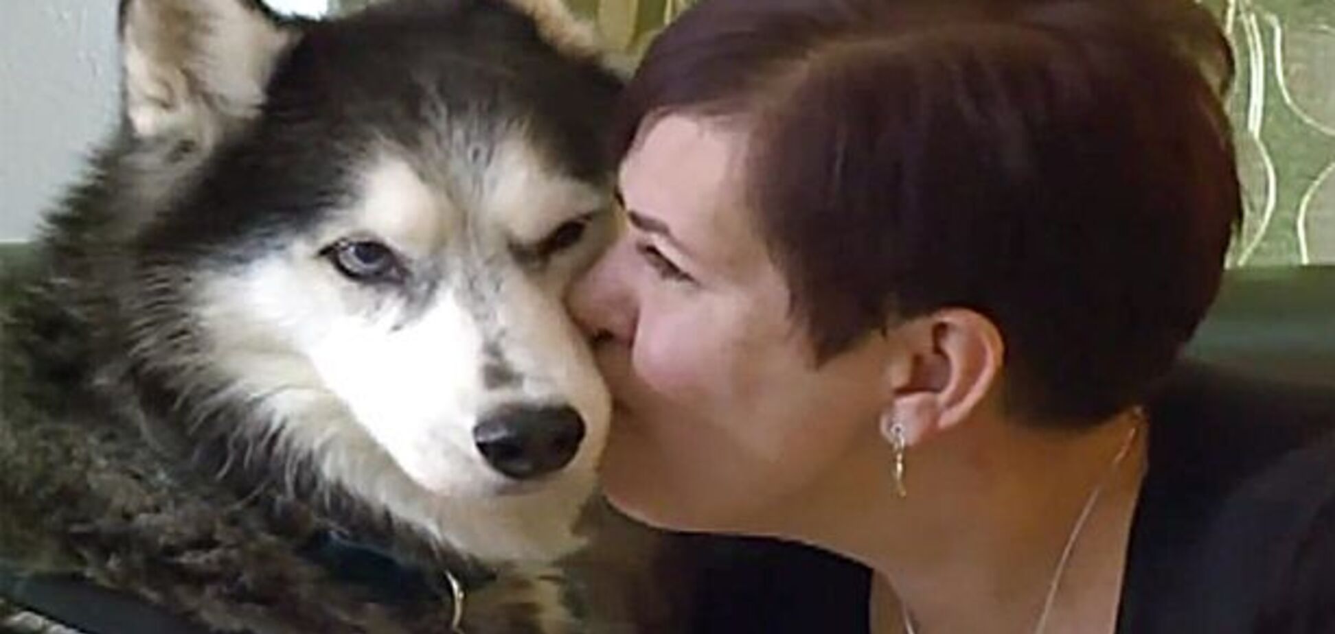 Собака унюхала у хозяйки рак и спасла ей жизнь