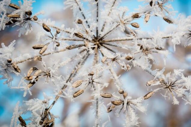 До 9° мороз: появился прогноз погоды в Днепре на выходные