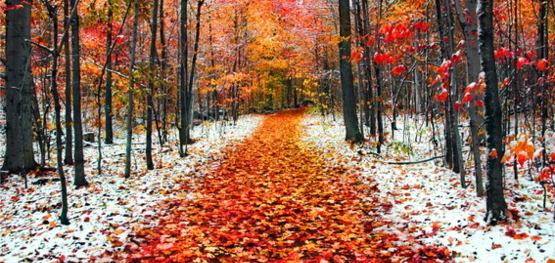 Погода на останній тиждень листопада