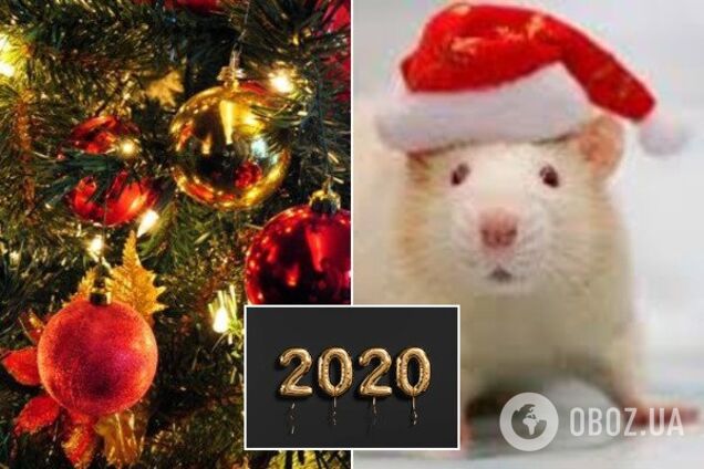 Назван цвет Нового года-2020: в чем надо встречать Крысу