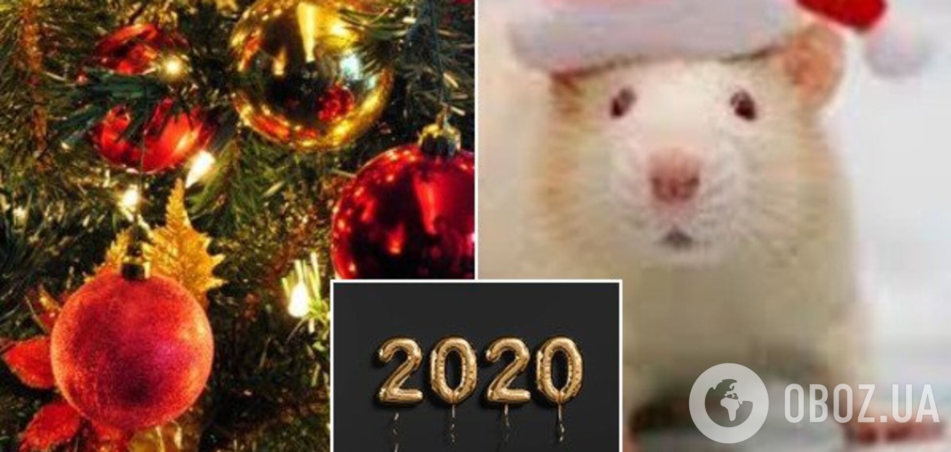 Назван главный символ Нового года-2020