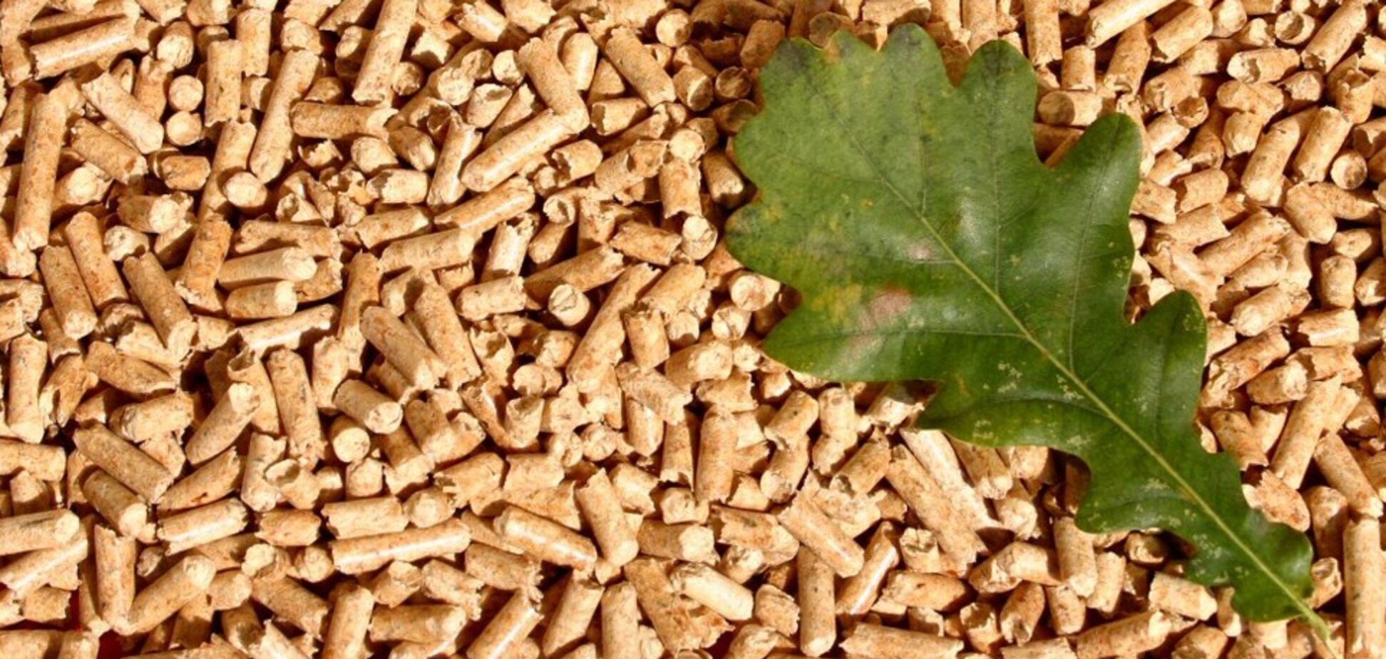 Мировому рынку пеллет предсказали миллиардный взлет