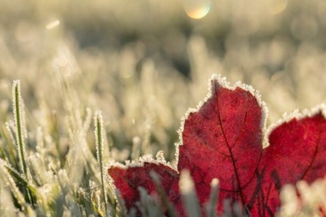 Мокрый снег и до +12: синоптики предупредили о переменчивой погоде в Украине