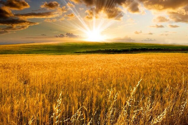 Земельні поправки Головіна до законопроекту №2178-10: земля українцям