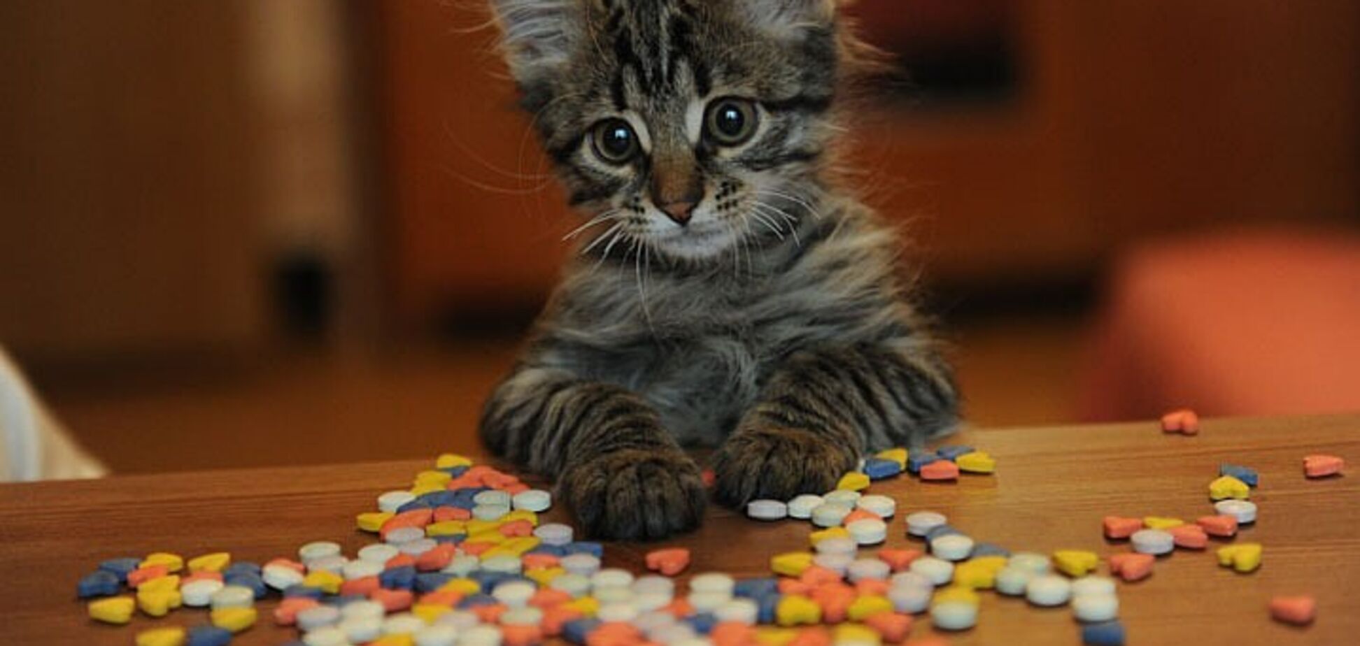 Аллергия на антибиотики: выдумка, которая может стоить жизни