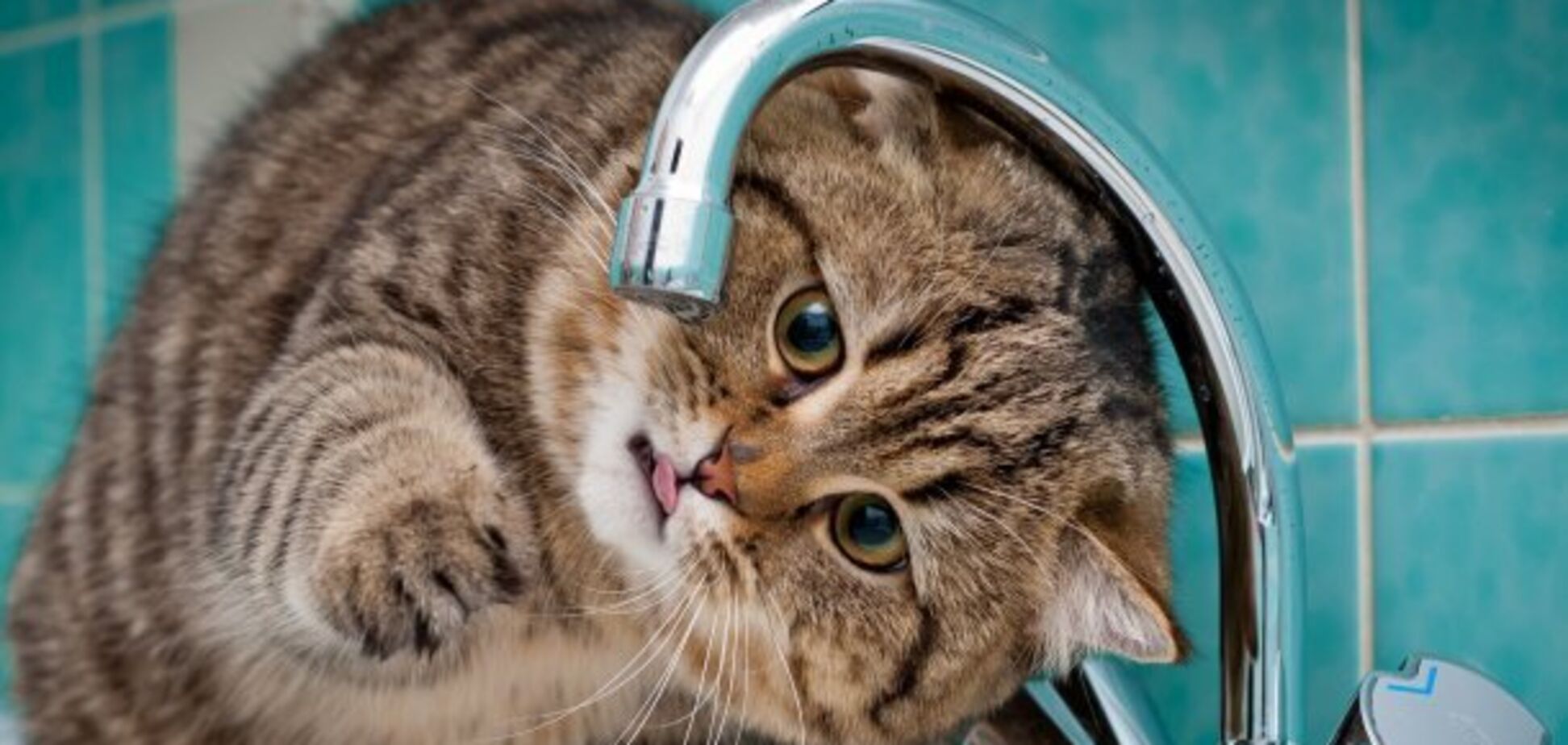 На Днепропетровщине предупредили о масштабном отключении воды