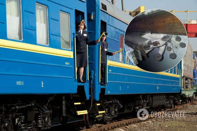 "Гиперлуп расцвел": сеть шокировали грибы в вагоне "Укрзалізниці"
