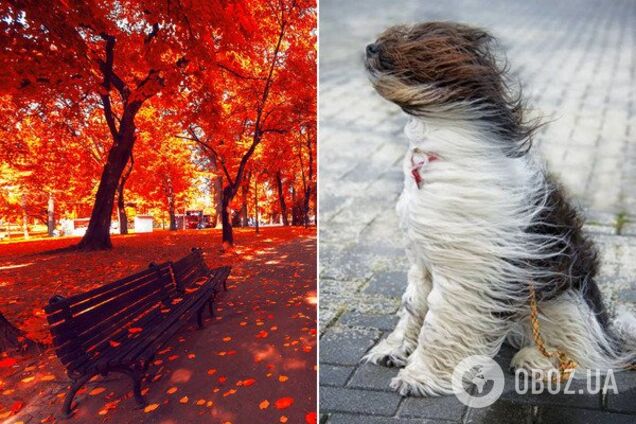 Погода в Киеве