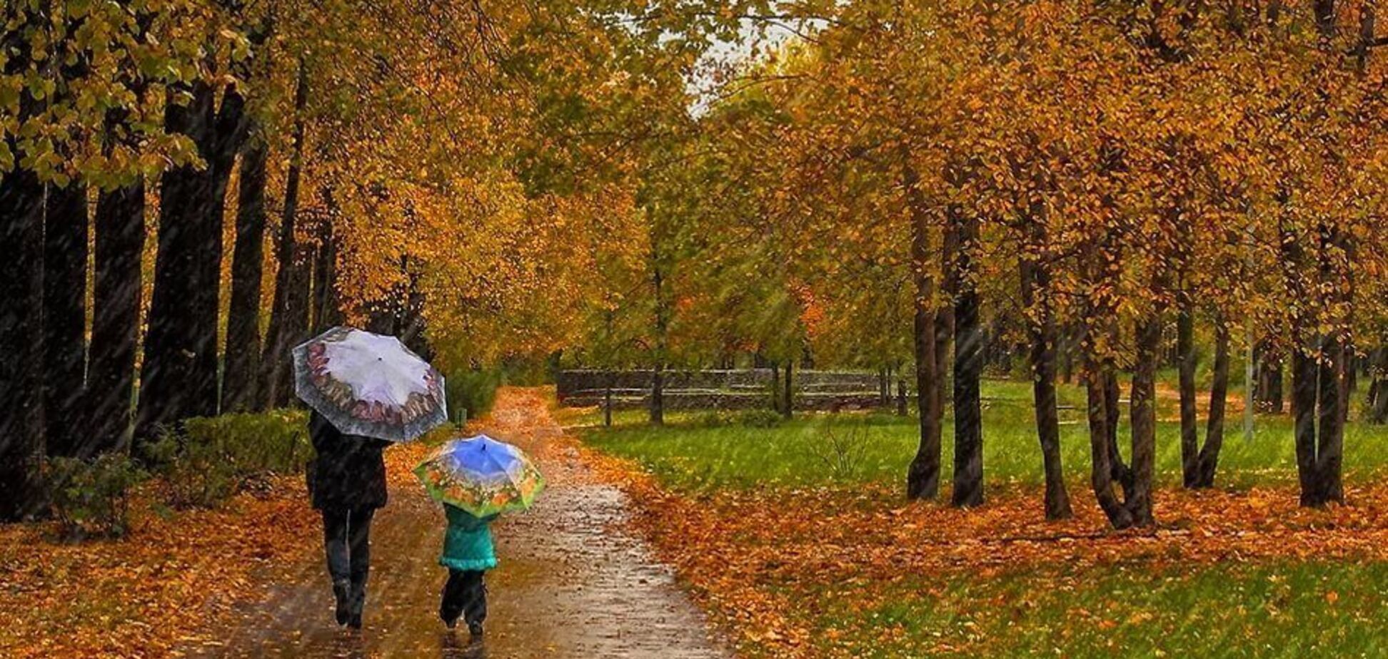 Дожди и холод: в Украине резко изменится погода