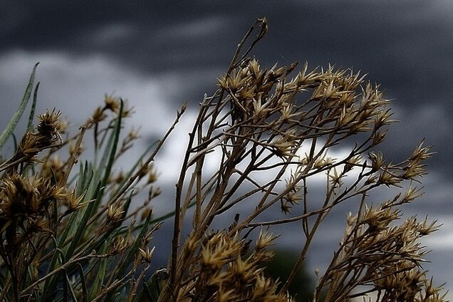 Штормовий вітер і сильні дощі: в Україні різко погіршиться погода