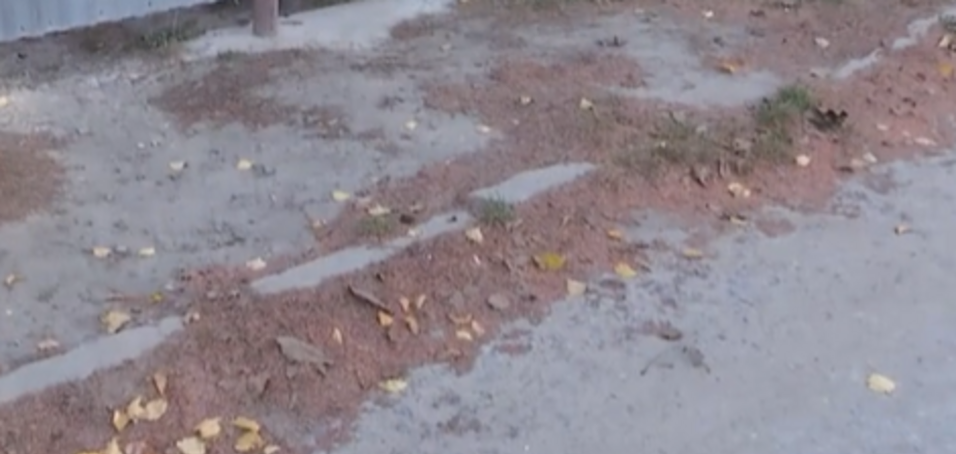 Під Тернополем людям на голови сиплеться 'червоний сніг': показове відео