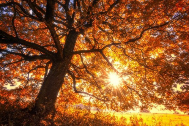 Приметы и праздники 7 ноября: что нельзя делать