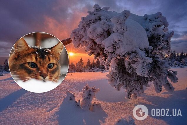 Сразу начнется зима: синоптик рассказал о погодной аномалии в Украине